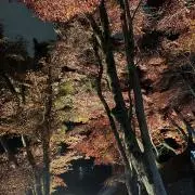まー