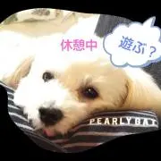 ラッキースマイルの画像