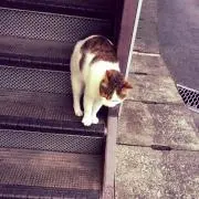 裕太郎