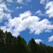 Eeeの画像