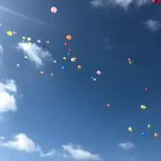 なおきの画像