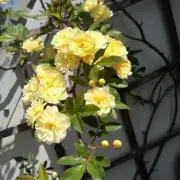 ecosan♡プロフ必読の画像