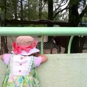 豆まめ