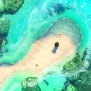 えり