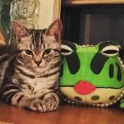 ピーちゃん