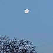 ミチの画像