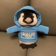ロザリーの画像