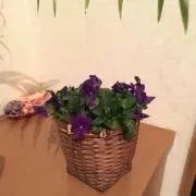 KR