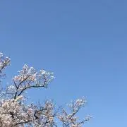 らの画像