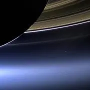 とし