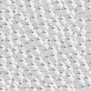 たろうの画像