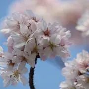 @#の画像