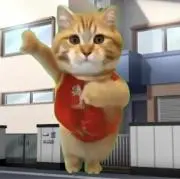 ネコノアレルギーの画像