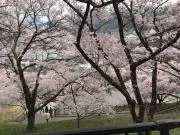 りんかの画像
