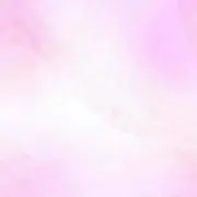 こむぎの画像