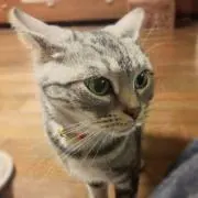 さんた