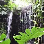 おにちゃん♪即購入OK☆の画像