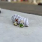 わかの画像