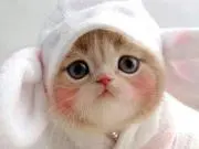 キリンさん