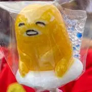 ぴの画像