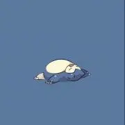 ゆあの画像