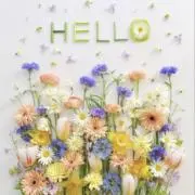 ♢lily♢の画像