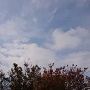 あおこ