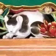 ねこの画像