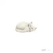 ソウの画像