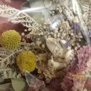 K&NICHOの画像