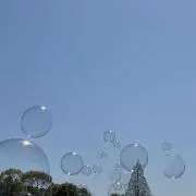 きな子の画像