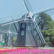 マリマリの画像