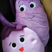 きょんの画像