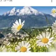 イアの画像
