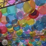 ハリ音の画像