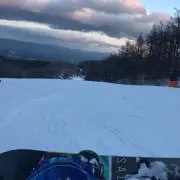 ロイド