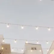 リの画像