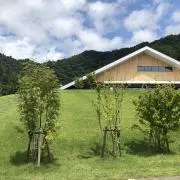 POPOの画像