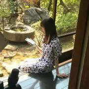 Nの画像