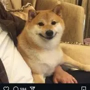 ぽんた