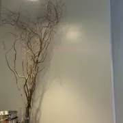 ケイ