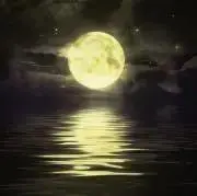 IZUMIの画像