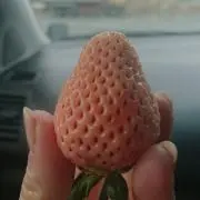 みっちぇる☆