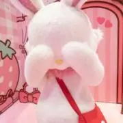 7o1の画像
