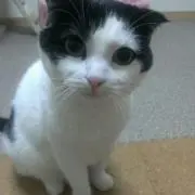 くー