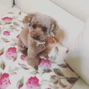 pattyの画像
