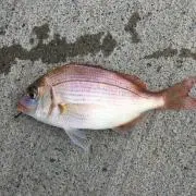 そら