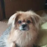 non
