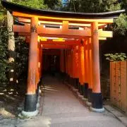 ぐしーらの画像