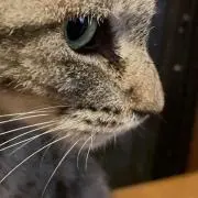 kocoなう